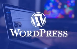 كورس دورة ادارة وحماية المواقع بإستخدام Wordpress من البداية حتى الاحتراف باللغة العربية