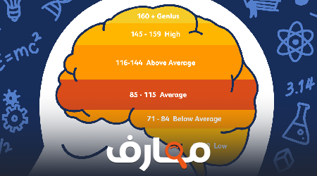 كيفية قياس نسبة الذكاء و اختبارات IQ