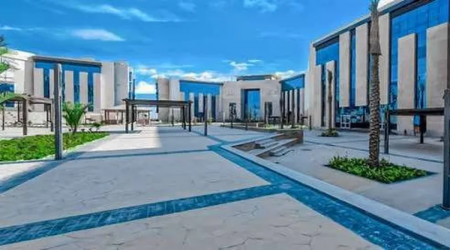 جامعة العلمين الدولية