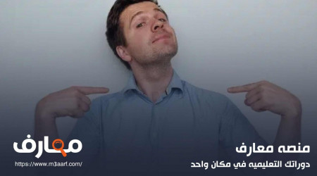 شخصية السيجما - الذئب الوحيد