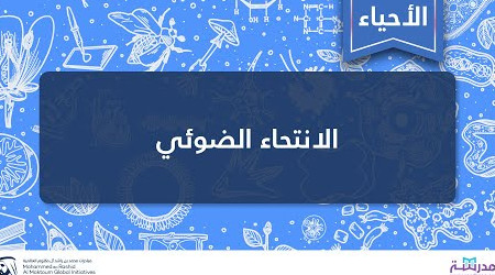 استجابة النبات للضوء