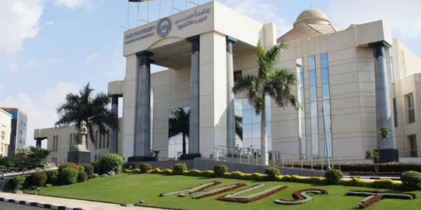 وظائف للمهندسين بجامعة مصر للعلوم والتكنولوجيا