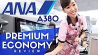 كورس - دورة تدريبية لتعليم  Latest Upload - Paolo fromTOKYO