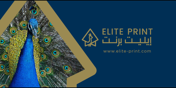 مطلوب مصممة جرافيك براتب يصل ل5000