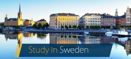 تدريب مقدم من المعهد السويدي لمدة 8 أشهر في السويد ممول بالكامل
