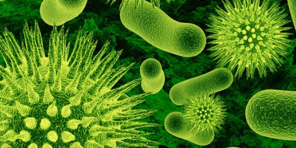 نبذة عن علم الميكروبيولوجي الجينات، والهندسة الوراثية والعلوم البحرية نبذة عن علم الميكروبيولوجي الجينات، والهندسة الوراثية والعلوم البحرية