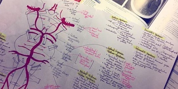 افضل المصادر التعليمية لطلبة الطب وطب الاسنان والتمريض والصيدلية