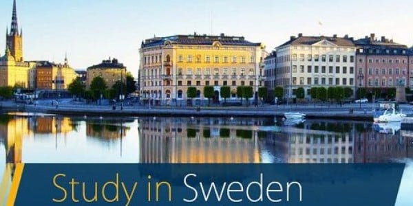 تدريب مقدم من المعهد السويدي لمدة 8 أشهر في السويد ممول بالكامل