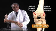 كورس - دورة تدريبية لتعليم  Lower Limb Anatomy