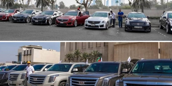 مطلوب مدير مبيعات بإحدى كبرى شركات السيارات فى مصر