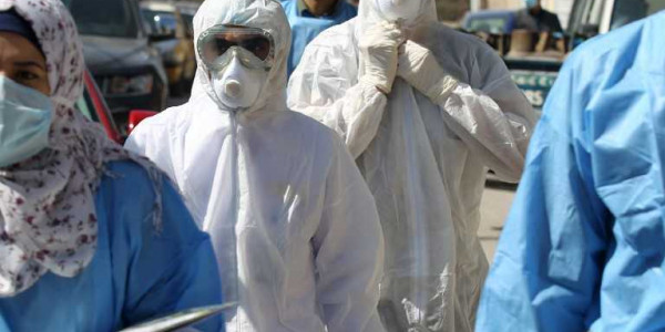 مطلوب نواب طبيين