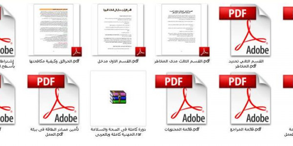 مجموعة من أهم الملفات الأساسية فى مجال السلامة والصحة المهنية