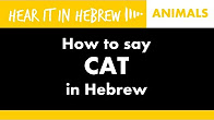 كورس - دورة تدريبية لتعليم  Animals in Hebrew