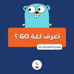 دليلك الكامل للتعرف على  لغة Go