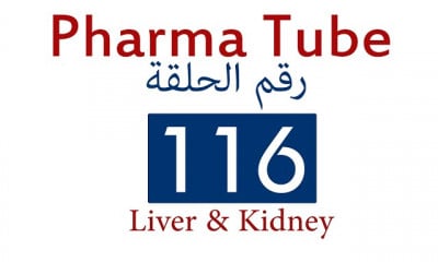 دورة تدريبية لتعلم Liver and Kidney