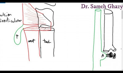 علم أمراض الجهاز الهضمي GIT pathology