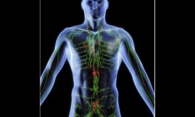 تشريح الجهاز اللمفاوي anatomy of lymphatic system