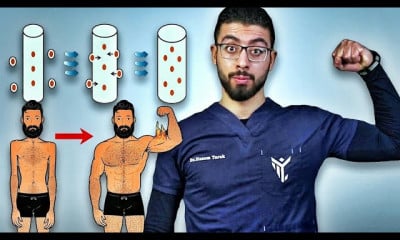 تشريح العضلات