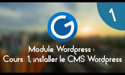 CMS Wordpress