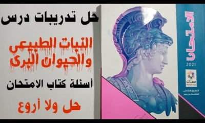 دراسات الصف الأول فصل دراسى ثانى
