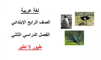 لغة عربية الصف الرابع الإبتدائي ترم 2
