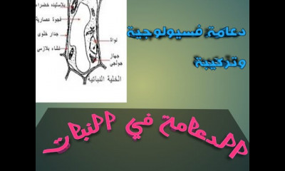 احياء ثانوية عامة