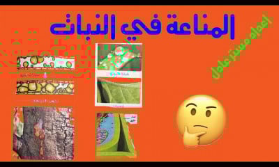 احياء ثانوية عامة