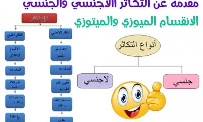 احياء 3 ثانوي دفعة التابلت