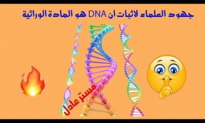 DNA بيولوجيا جزيئية احياء ثانوية عامة