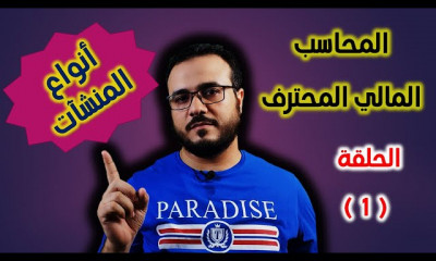 المحاسب المالي المحترف