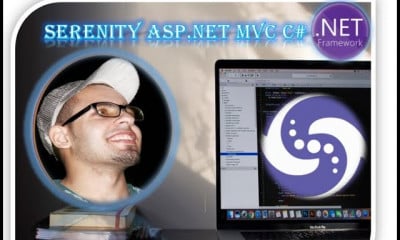 ASP NET MVC Core Serenity framework المشروع الكامل