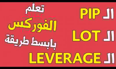 الفوركس للمبتدئين