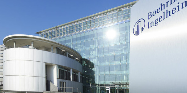 تدريب شركة boehringer ingelheim لطلاب صيدلة