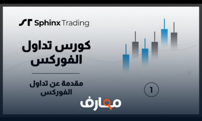 Sphinx Trading forex course for beginners