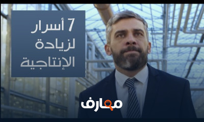 الإنتاجية
