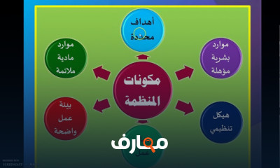 أساسيات الإدارة