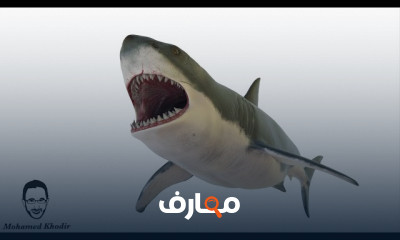 تدريبات التخاطب | النطق و الكلام باللهجة السعودية