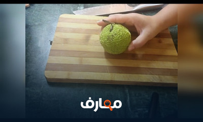 الطب البديل