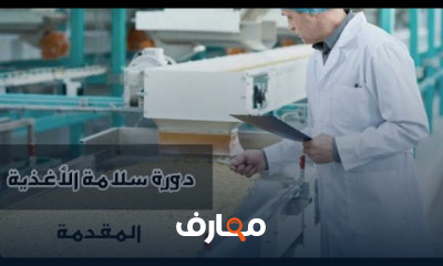 سلامة الغذاء