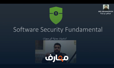 حمايه الانظمه