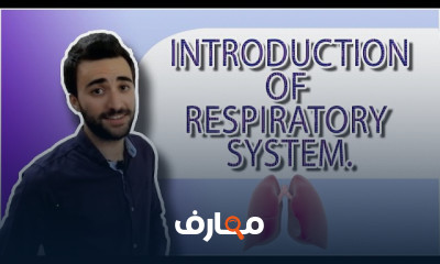 الجهاز التنفسي respiratory system