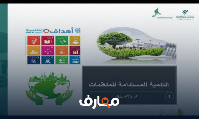 استدامة الاعمال للمنظمات