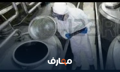 السلامة الغذائية