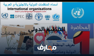 قانون التنظيم الدولي