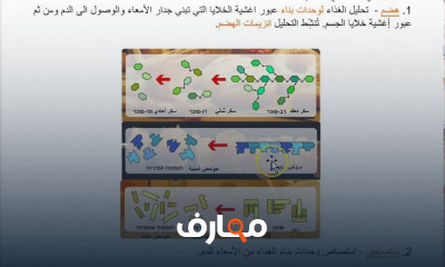 بيولوجيا الانسان