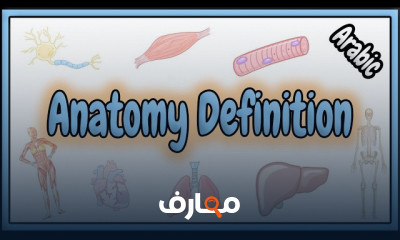 مقدمة لعلم التشريح