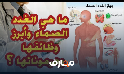تشريح جسم الانسان Human Anatomy