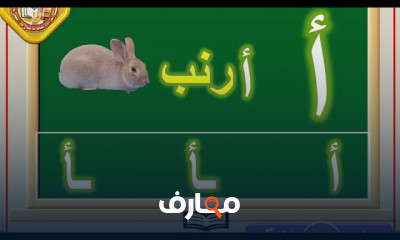 تعليم الكبار القراءة والكتابة