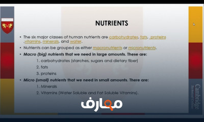 اخصائي تغذية| أساسيات التغذية