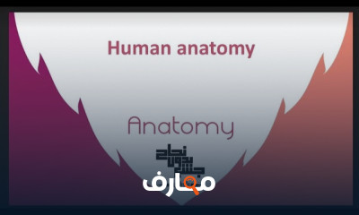 طب العلاج الطبيعى